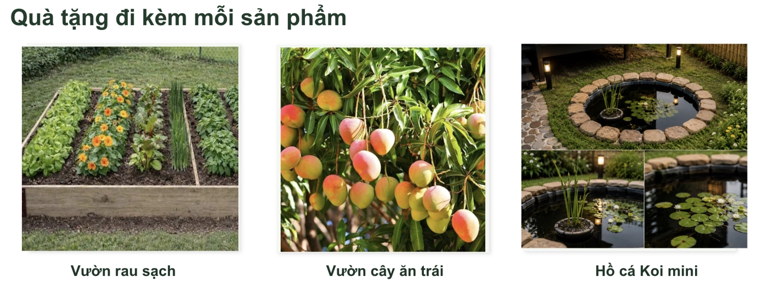 Ảnh màn hình 2026-08-20 lúc 10.53.35