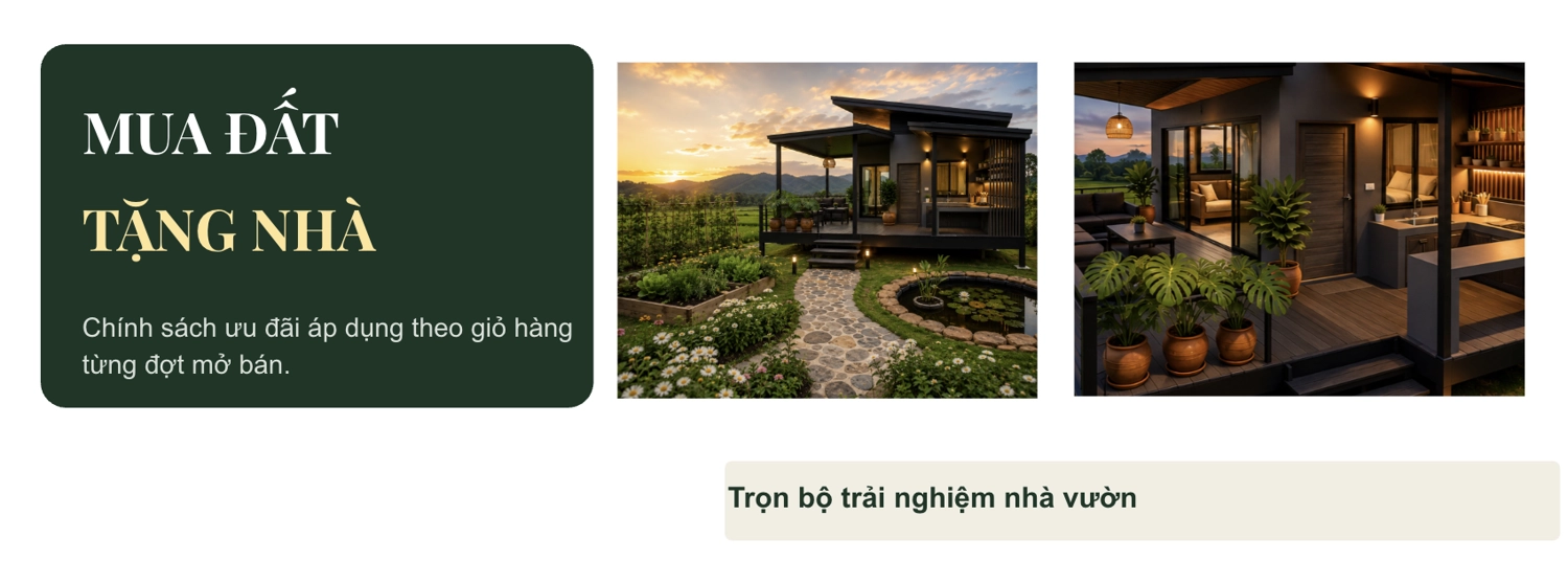 Ảnh màn hình 2026-08-20 lúc 10.54.06