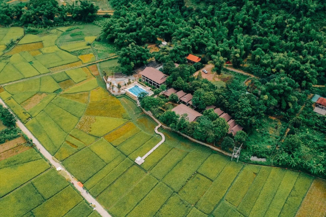 Tiềm năng để khai thác tại phân khúc bất động sản nông nghiệp vẫn rất lớn.