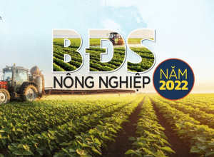 Bất động sản nông nghiệp là gì? Tiềm năng của bất động sản nông nghiệp Tin Thị Trường Bất động sản nông nghiệp là gì? Tiềm năng của bất động sản nông nghiệp